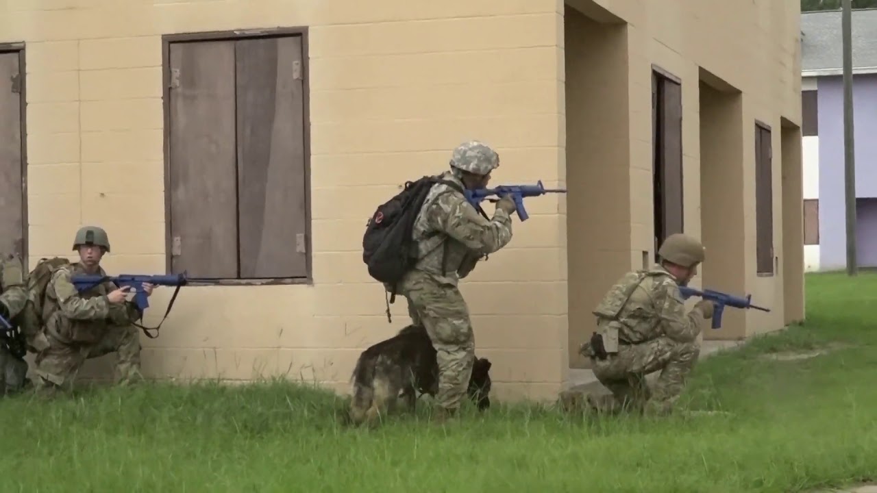 Training Dogs for War (904th Military Dog Detachment)
